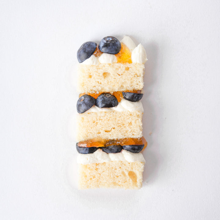 Vegan Infinite Vanilla Sponge Cake